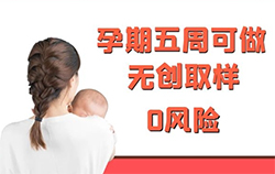 内蒙古胎儿如何做亲子鉴定，内蒙古无创孕期亲子鉴定大概多少钱