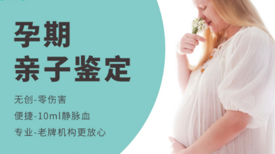 内蒙古要如何办理孕期亲子鉴定,